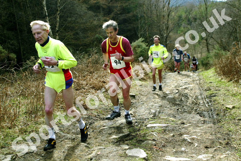 Hamsterley Forest Run